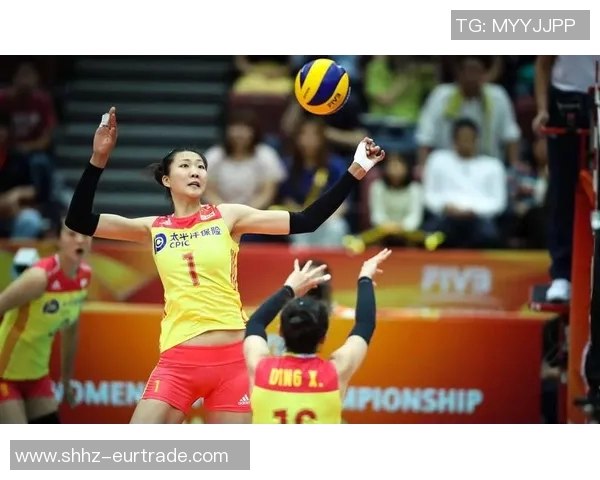 热议排球:深圳排球队如何通过耐力训练实现全面突破与创新发展