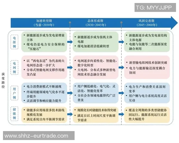 重庆篮球队的意识探讨与发展路径分析