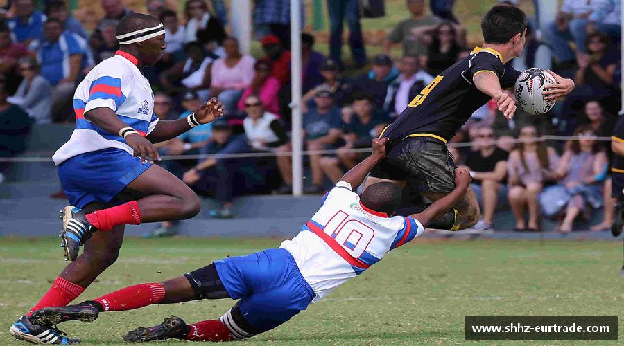 勇攀高峰，冠军在望！